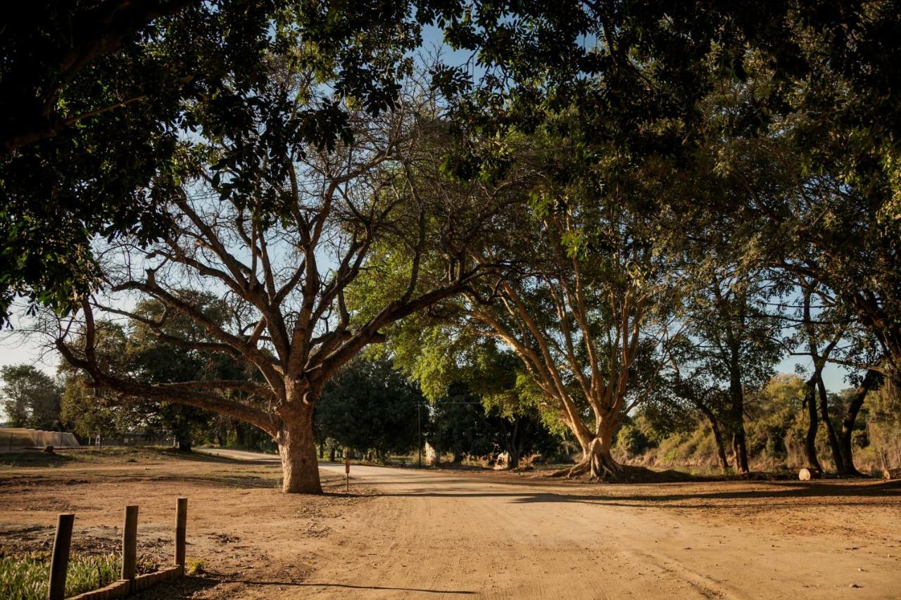 Letaba Junction Lodge Letsitele Zewnętrze zdjęcie